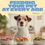 Feeding Your Pet at Every Age – Complete Ebook Guide to a Feeding Schedule by Pet Age for Puppies, Adults, and Senior Pets