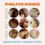 Polite Paws: Navigating Pet-Friendly Cafes – A Practical Guide to Pet Friendly Cafes Etiquette for Well-Behaved Café Visits