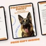Fostering First, Adopting With Confidence | Practical Guide to Fostering Pets Before Adoption, Real Foster Stories, AI Decision Tools