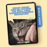 What Your Cat is Trying to Tell You: Understanding Behavior | Cat Behavior Meaning Guide | Digital eBook for Cat Owners
