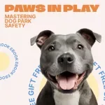 Paws in Play: Mastering Dog Park Safety | Practical Dog Park Safety Tips eBook for Confident, Stress-Free Park Visits