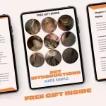 Pet Introductions Made Simple – Practical eBook Guide for Introducing Pets to Other Pets, Stress-Free Multi-Pet Home