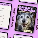Adopt Wisdom: Choosing Older Pets | Heartfelt Guide to adopting older pet pros cons & Confident Senior Pet Adoption