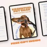 Essential Pet Gear for Everyday Walks | Printable Checklist for Stress-Free Daily Dog Walks | Pet Gear for Everyday Walks Guide