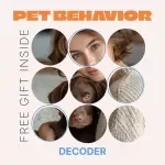 An AI-Powered Behavior Decoder Checklist | AI Explains Pet Behavior | Smart Pet Behavior Guide & Digital Checklist