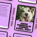 How Animals Think, Feel, Act | Animal Behavior Basics eBook | Practical Guide to Understanding Animal Emotions, Communication & Everyday Actions