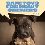 Built for Big Chewers, Not Broken Teeth – Practical Guide to Safe Toys for Heavy Chewers, Smart Toy Selection, and Injury Prevention for Power Chewing Dogs