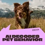 AI Decodes Pet Behavior – Smart eBook Guide to ai behavior pattern detection pets Using AI Insights for Health, Mood & Daily Routines