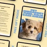 Pet Emergency Fund, Calm Care Ahead: Ultimate Guide to Pet Emergency Fund Planning eBook