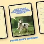 Pet Gear Comfort vs Control Made Simple | Practical Guide to pet gear comfort vs control for Safer, Happier Pets