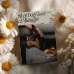 When Dogs Howl at Midnight: A Complete Guide to Tackling Nighttime Barking in Dogs - Digital eBook Download