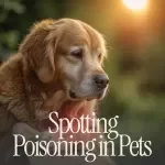 Whiskers in Danger: Spotting Poisoning in Pets – A Comprehensive Guide to Recognizing, Preventing, and Responding to Pet Poisoning