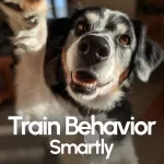 Train Behavior Smartly: The Ultimate Guide to Behavior and Training Basics for Personal Growth and Skill Development