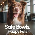 Safe Bowls, Happy Pets: The Ultimate Guide to Homemade Pet Food Safety | Digital Download eBook