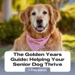 The Golden Years Guide: Helping Your Senior Dog Thrive – A Practical Guide to Senior Dog Health Issues