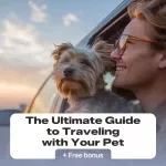 The Ultimate Guide to Traveling with Your Pet: Expert Tips for Pet-Friendly Adventures