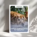 A Simple Guide to Caring for Aging Pets: Expert Advice on Senior Pet Care