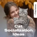Cat Socialization Ideas: Your Practical Checklist - Easy Guide for Happy Cats