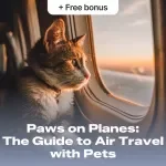 Paws on Planes: The Ultimate Guide to Air Travel with Pets - Ebook for Stress-Free Journeys