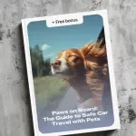 Paws on Board: The Guide to Safe Car Travel with Pets - Expert Tips for Car Travel Safety for Pets