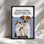 Paws & Claws: Introducing Your Dog to a New Cat - A Complete Guide to a Smooth Transition