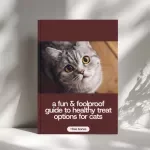 A Fun & Foolproof Guide to Healthy Treat Options for Cats - Printable Checklist