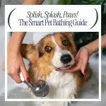 Splish, Splash, Paws! The Smart Pet Bathing Guide – Your Essential Bath Schedule for Pets