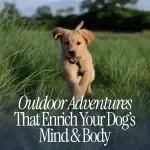 Outdoor Adventures That Enrich Your Dog’s Mind & Body - The Ultimate Guide to Outdoor Enrichment for Dogs