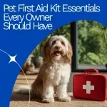 Pet First Aid Kit Essentials Every Owner Should Have – Complete Pet First Aid Kit eBook Guide for Emergency Preparedness & Smart AI-Ready Planning