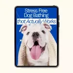 Stress Free Dog Bathing That Actually Works | Complete Guide to Dog Bathing Techniques, Calm Step by Step Grooming System & Easy Home Bath Routine