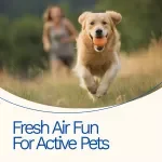 Fresh Air Fun for Active Pets: The Ultimate Guide to Pet Exercise Ideas Outdoors, Outdoor Games & Balanced Routines