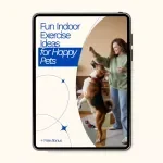 Fun Indoor Exercise Ideas for Happy Pets – Complete Guide to Pet Exercise Ideas Indoors, Daily Fitness Routine & 14-Day Activity Plan