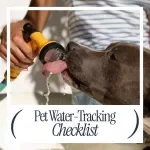 Your Daily Pet Water-Tracking Checklist | How to Track Your Pet's Daily Water Intake Guide