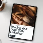 Reading Your Dog’s Body Language: How to Read Your Dog's Body Language for Better Connection - eBook Guide