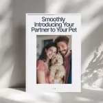 Smoothly Introducing Your Partner to Your Pet: The Ultimate Guide on How to Introduce a New Partner to Your Pet