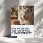 How to Celebrate Your Pet’s Birthday in a Meaningful Way – Ultimate Checklist for Pet Lovers | Step-by-Step Guide on How to Celebrate Your Pet's Birthday in a Meaningful Way