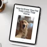 How to Know Your Pet Truly Loves Their Home – Guide on How to Know if Your Pet is Happy Living with You, Body Language & Behavior Insights for Cats and Dogs