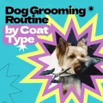 Dog Grooming Routine by Coat Type Checklist | How Often to Groom Dog by Coat Type Guide | Printable Pet Care Planner for Healthy, Happy Dogs