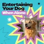 Entertaining Your Dog When Alone – Ultimate Ebook Guide on How to Entertain Dog When Home Alone, Reduce Boredom & Anxiety, DIY Dog Activities & Enrichment Ideas