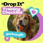 “Drop It” Training Checklist – How to Teach Dog to Drop It Step-by-Step Guide for Calm, Reliable Training & Everyday Safety Skills