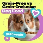 Choosing Between Grain-Free and Grain-Inclusive Dog Food | Ultimate Guide to grain free dog food vs grain inclusive for Smarter Pet Nutrition Decisions