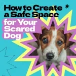 How to Create a Safe Space for Your Scared Dog – Complete Guide on how to make safe space for scared dog, Calm Training, Anxiety Relief & Confidence Building