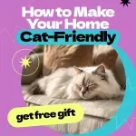 How to Make Your Home Cat-Friendly – Complete Guide on how to make home safe for cat | Cat Safety Checklist & Cozy Living Tips