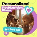 How AI is Revolutionizing Personalized Pet Nutrition – AI for Personalized Pet Nutrition Plans eBook Guide for Smarter Feeding, Health Optimization & Custom Diet Strategies