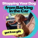 Stopping Your Dog from Barking in the Car – Complete Training Guide for Pet Owners | how to stop dog from barking in car eBook, Calm Travel Checklist, Positive Reinforcement Guide