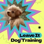 Leave It Dog Training Checklist – How to Teach Dog to Leave It Fast & Effectively, Printable Puppy Training Guide, Positive Reinforcement Tool