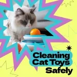 Checklist for Cleaning Cat Toys Safely – How to Clean Cat Toys Safely Guide for Pet Owners, Printable Pet Care Routine, Cat Hygiene Checklist