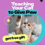 Teaching Your Cat to Give Paw – Complete Guide on how to train cat to give paw | Step-by-Step Cat Training eBook, Positive Reinforcement Tricks, Beginner-Friendly Pet Training Manual