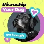 Checklist to Microchip Your Dog | How to Microchip a Dog Step-by-Step Printable Guide for Pet Owners | Dog Safety & ID Registration Checklist