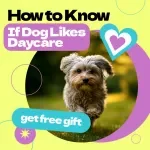 Checklist for Knowing If Your Dog Actually Likes Daycare – How to Know If Dog Likes Daycare Printable Guide, Dog Behavior Tracker, Pet Care Download